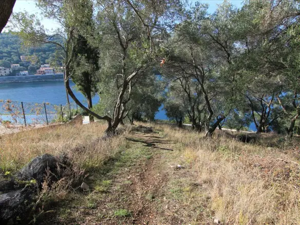 Land In Corfu, Greece