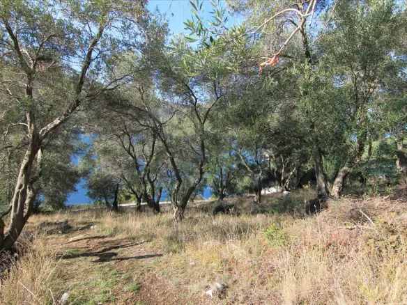 Land In Corfu, Greece