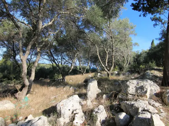 Land In Corfu, Greece