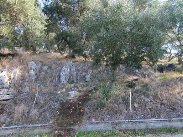 Land In Corfu, Greece
