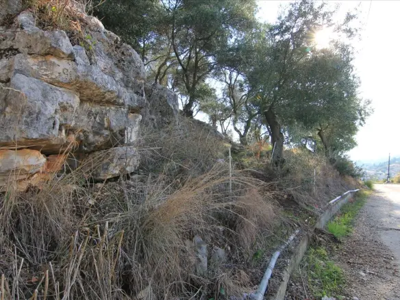 Land In Corfu, Greece