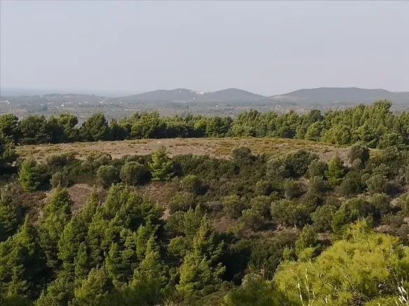 Land In Sithonia, Greece
