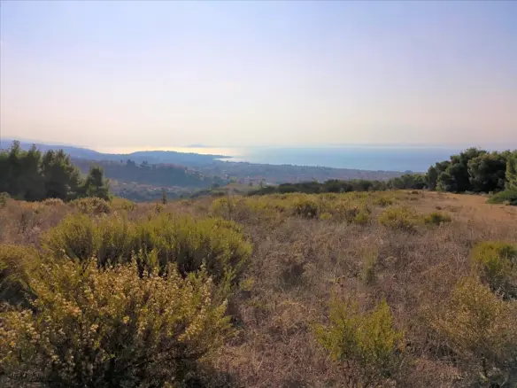 Land In Sithonia, Greece
