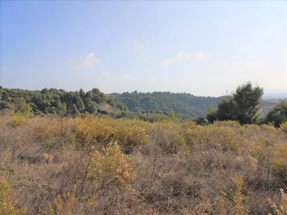 Land In Sithonia, Greece