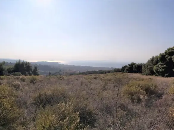 Land In Sithonia, Greece