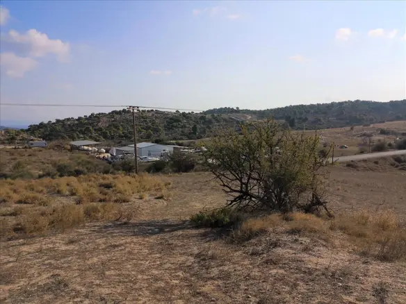 Land In Sithonia, Greece