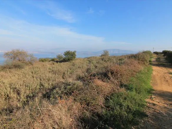 Land In Corfu, Greece