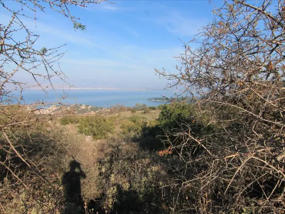 Land In Corfu, Greece
