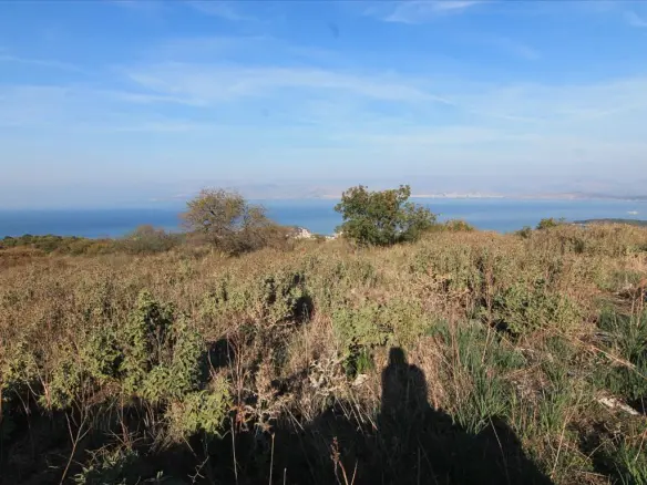 Land In Corfu, Greece
