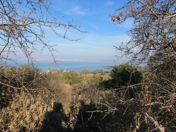 Land In Corfu, Greece
