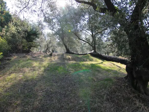 Land In Corfu, Greece