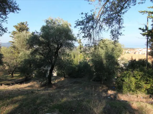 Land In Corfu, Greece