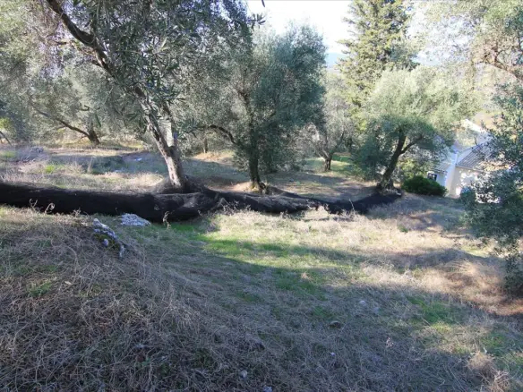 Land In Corfu, Greece