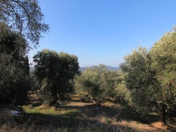 Land In Corfu, Greece