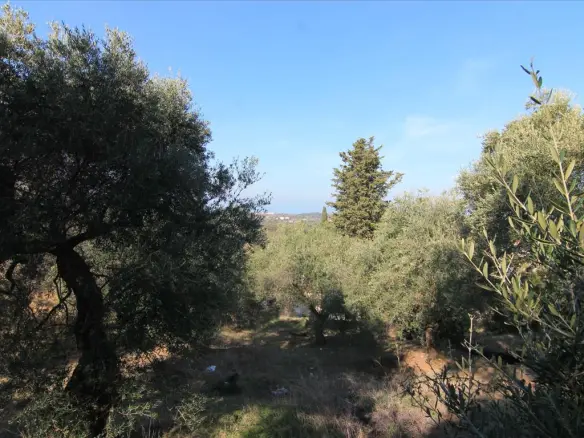 Land In Corfu, Greece