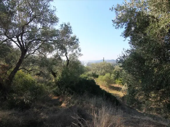 Land In Corfu, Greece