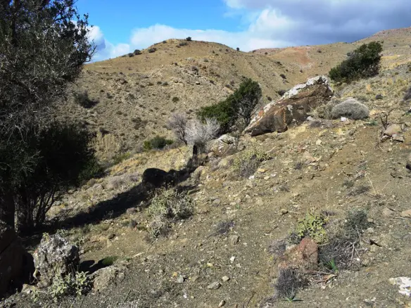Land In Lampi, Greece