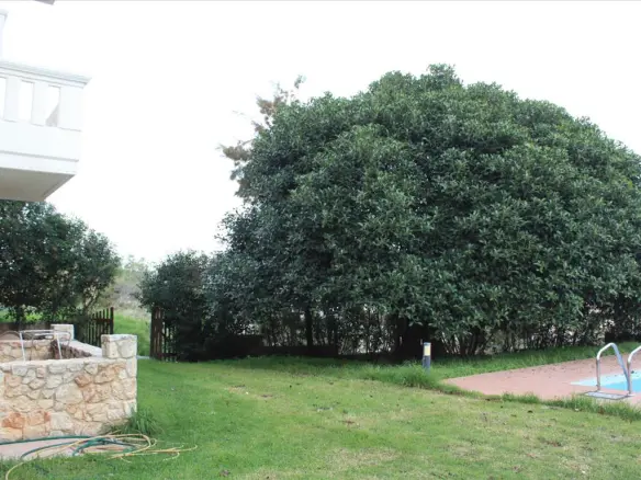 12-bedroom Hotel In Kolimvari, Greece (455 M²)