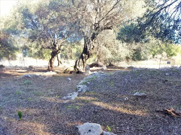 Land In Corfu, Greece (152 M²)