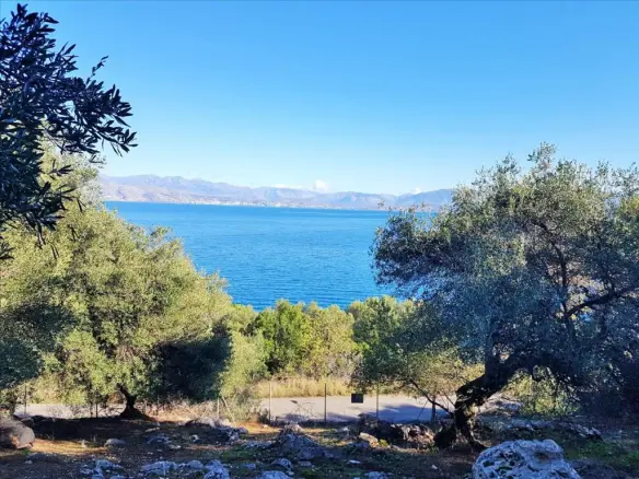 Land In Corfu, Greece (152 M²)