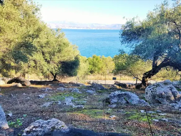 Land In Corfu, Greece (152 M²)