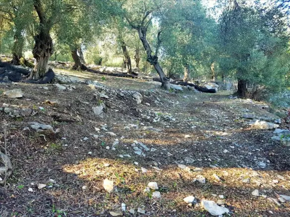 Land In Corfu, Greece (152 M²)