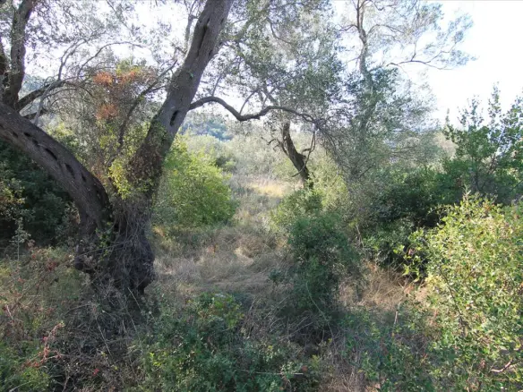 Land In Corfu, Greece