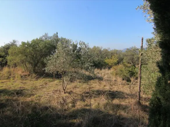 Land In Corfu, Greece