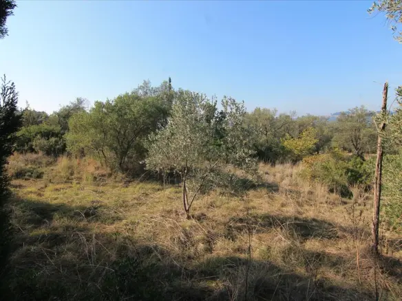 Land In Corfu, Greece