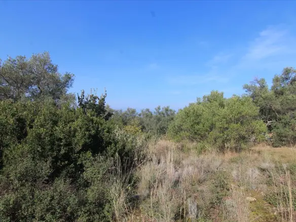Land In Corfu, Greece