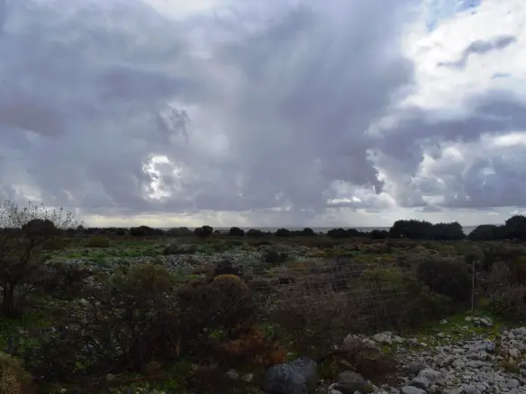 Expansive 89000 M² Parcel Of Land In Crete
