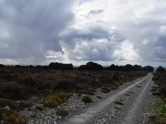 Expansive 89000 M² Parcel Of Land In Crete
