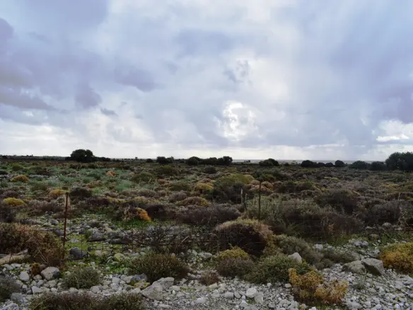 Expansive 89000 M² Parcel Of Land In Crete