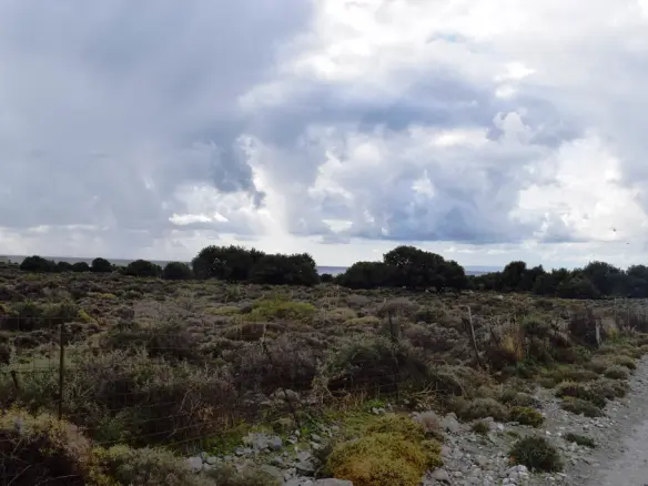 Expansive 89000 M² Parcel Of Land In Crete