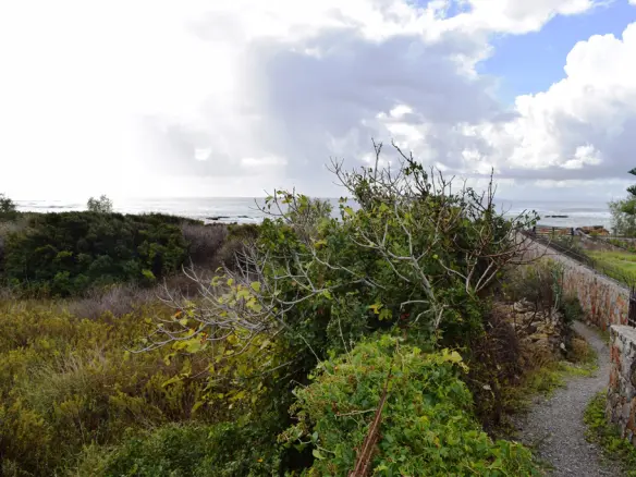 4089 M² Land Parcel Available In Crete