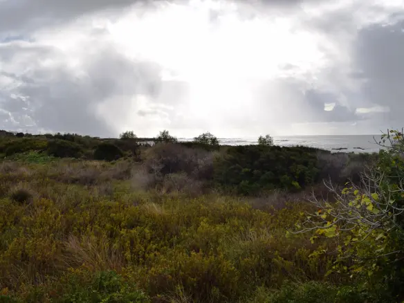 4089 M² Land Parcel Available In Crete