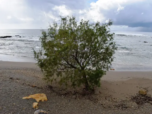 4089 M² Land Parcel Available In Crete
