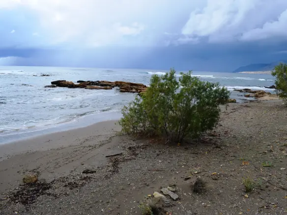 4089 M² Land Parcel Available In Crete