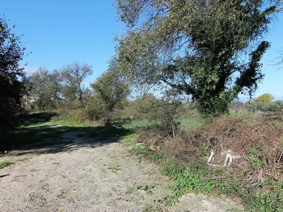 Land In Corfu, Greece