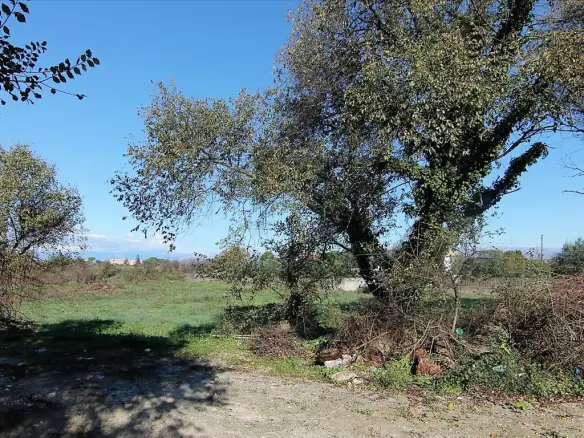 Land In Corfu, Greece