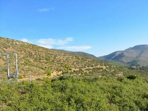 617 M² Plot Available In Attica Region
