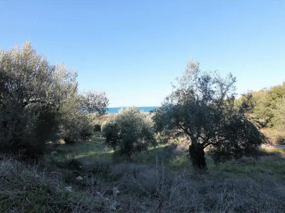 Land In Corfu, Greece