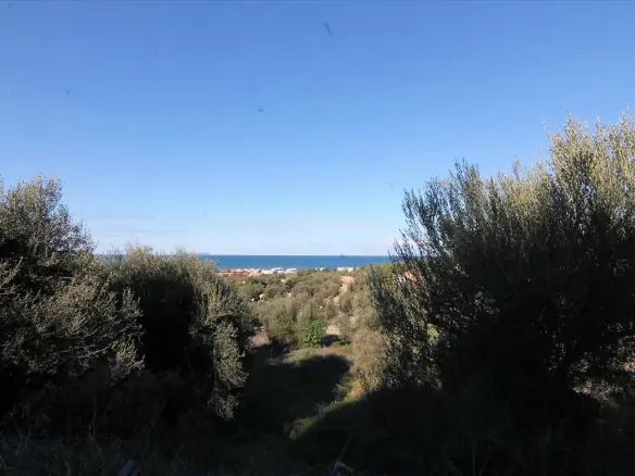 Land In Corfu, Greece