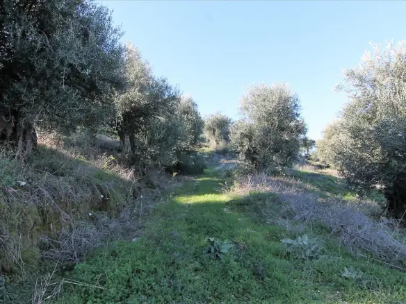 Land In Corfu, Greece