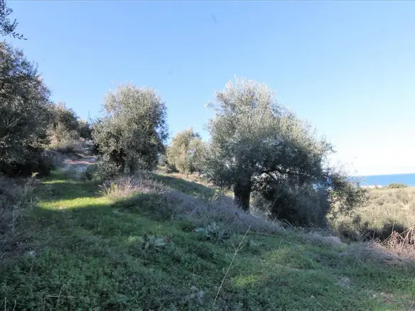 Land In Corfu, Greece