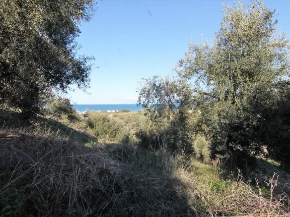 Land In Corfu, Greece