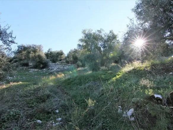 Land In Corfu, Greece