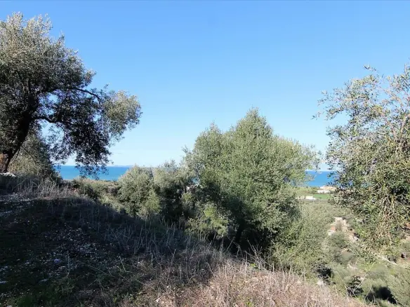 Land In Corfu, Greece