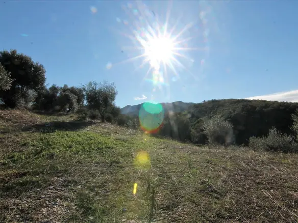 Land In Corfu, Greece