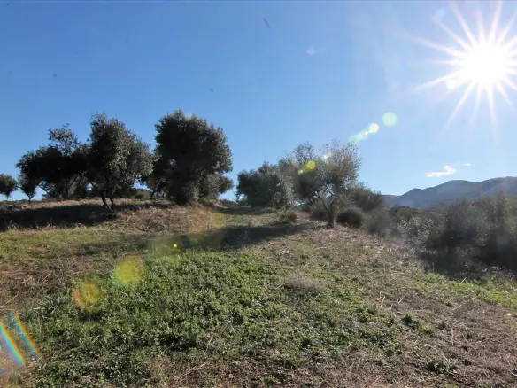 Land In Corfu, Greece